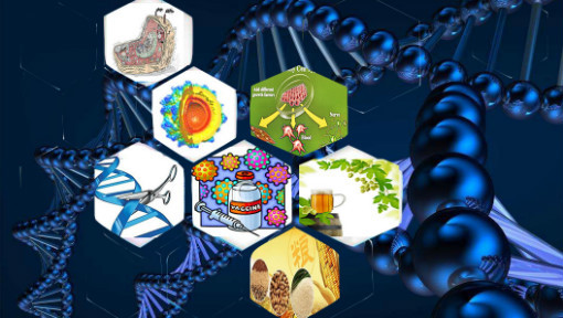 改變生活的生物技術(shù)_復(fù)旦大學(xué)_中國大學(xué)MOOC(慕課)